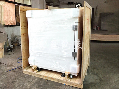 工業(yè)電器包裝案例