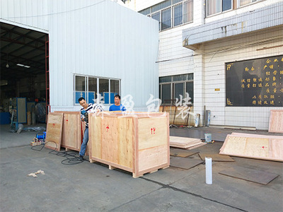 精密產(chǎn)品包裝案例